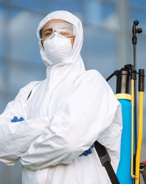 Safe Pest Control Treatment Process